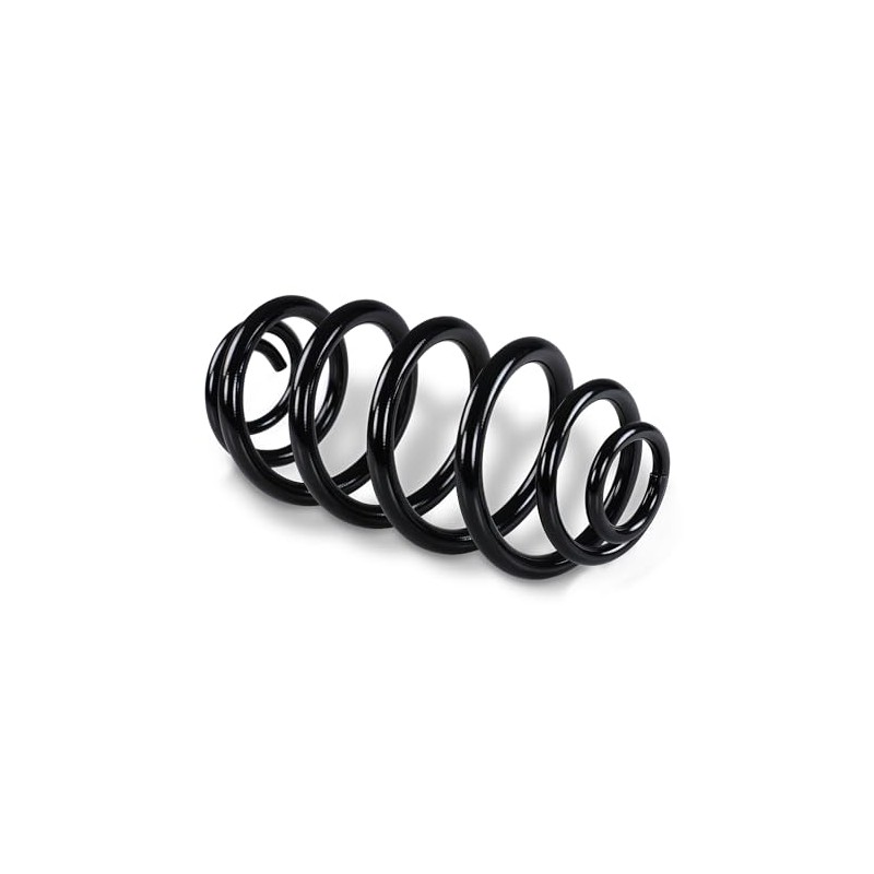 ATEC Germany 2 x Suspension Springs Rear Left & Right