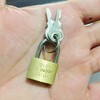 SystemsEleven® Brass Padlock Security Locker - Storage Unit School Gym