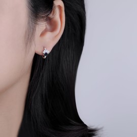 SLUYNZ Sterling Silver CZ Paw Earrings Hoop Earrings for Women Cat Dog Paw Print Earrings Small Paw Hoop Earrings Huggie Black Heart Hoop Earrings Love, Small, Sterling Silver, Cubic Zirconia