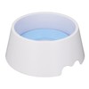 Pet Slow Water Feeder Splash Proof Prevent Slip Raised Water