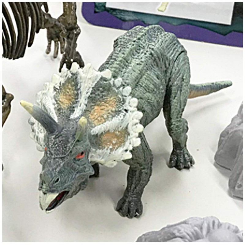Incapable Buddy, Inc. Dinosaur Museum AR Triceratops (Painted/Assembly Type Skeleton