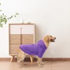 BINGPET Dog Hoodies - Fleece Lined Fall Dog Puppy Sweatshirt