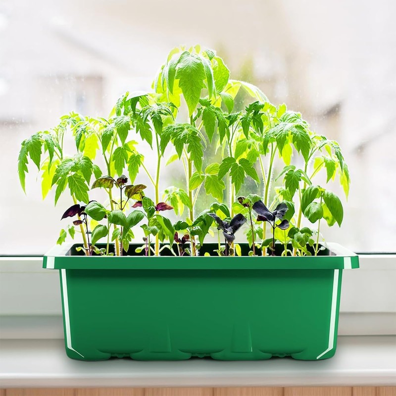 HASTHIP® 5 Piezas Bandeja de germinación Bandeja de Semillas Bandeja