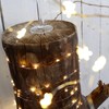 Lunartec String Light: Solar Copper Wire Fairy Lights, 300 Warm