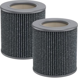 Air Mini PECO-HEPA Replacement Filter for Molekule Air Mini and Air Mini+ Air Purifier, 3-in-1 H13 True HEPA High-Efficiency Activated Carbon, 2 Pack
