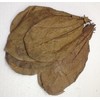 Pack of 100 (300 g) 20-25 cm Indian Almond Leaves
