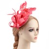 DRESHOW Fascinators Royal Banquet Ribbons Feathers Headwear Cocktail Tea Party