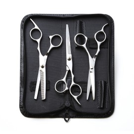 3 Piece Professional Standard Hairdressing Barber Scissors Set & Storage Case