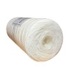 IPW Industries Inc. - Whole House Water and Sediment Filter