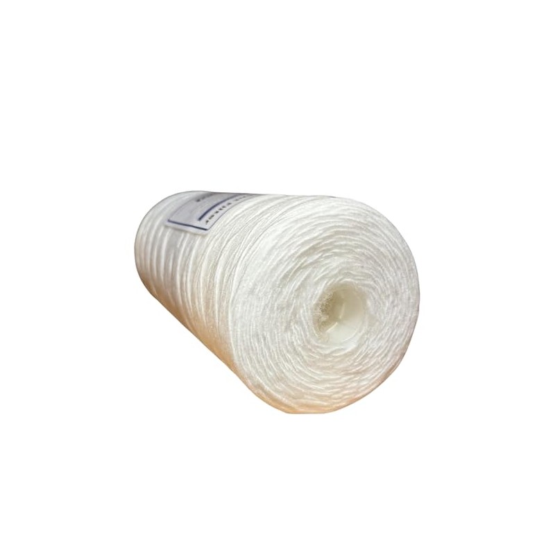 IPW Industries Inc. - Whole House Water and Sediment Filter