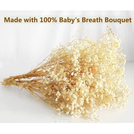 Bannifll Dried Babys Breath: Baby Breath Flower Bouquet with 3000+ Ivory White Dry Flowers, Artificial Bulk Dried Flowers for Vase, Garden Party, and Boho Wedding Decor (17-Inch)