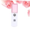 Ipetboom Portable Facial Nano Moisture Sprayer for Skin Care Abs