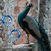 ONEFINITY Peacock Earrings 925 Sterling Silver Peacock Dangle Drop Earring