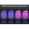WZDRAGON Upgraded BW2000 LED Grow Lights Double Chips Full Spectrum