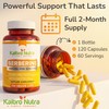 Kaibro Nutra Berberine Supplement 1000mg, Berberine HCL for Immune System,