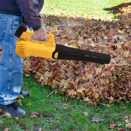 COFECO Electric Leaf Blower, 3000W Handheld Cordless Leaf Blower with 2 x 12Ah Batteries and Charger, 2-Speed Lightweight Blower for Lawn Care, Yard, Driveway