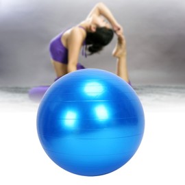 Large Fitness Exercise Ball Yoga Balance Ball, 75cm Anti-burst Extra Thick Back Waist Training Ball, Sturdy Non-slip PVC Yoga Balance Ball with Quick Air Pump for Home Gym Blue