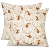 DFXSZ Fall Pumpkin Pillow Covers Set of 2, 18x18 Inch