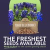 Texas Bluebonnet Wildflower Seeds - Bulk 1/2 Ounce Packet -