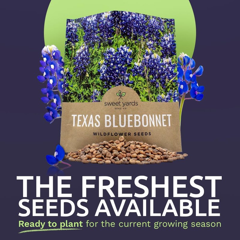 Texas Bluebonnet Wildflower Seeds - Bulk 1/2 Ounce Packet -