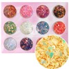 Nail art water drop glitter 12-piece set/transparent round mixed glitter/slice