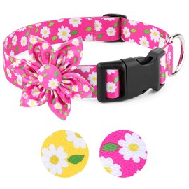 BiPawTi Medium Dog Collar Pink Flower with Bloom Decoration, Soft Floral Girly Dog Collars, Cute Daisy Pretty Dog Collar Summer Dog Collar for Girls Female Dogs (Pink, M)