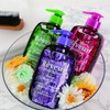 Rêveur Fraicheur Repair Shampoo Dispenser Set - 340ml