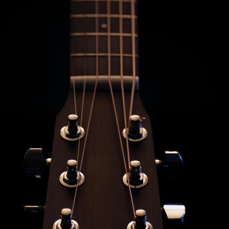 6pcs Acoustic Guitar Bridge Pins, Brass Guitar String Pegs with