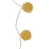 LED Light String Innovative Iron Wire Round Ball String Lights