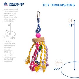 Prevue Pet Products Physical & Mental Court Jester Bird Toy 62546