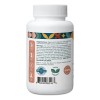Pattern Wellness Maca 20:1 60 Cápsulas Vegano