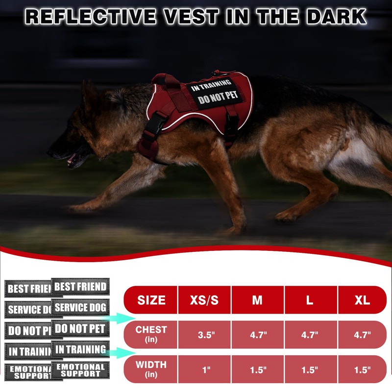 WINSEE Service Dog in Training Mesh Harness with 10 Pet