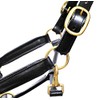 Aces Equine LEATHER HORSE HEADCOLLAR HALTER FULLY RAISED AND PADDED