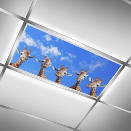 C.IOPMNU 2 Pack Fluorescent Light Cover for Classroom, Giraffe Drop Ceiling Decorative Film Filter,Eliminate Harsh Glare Causing Eyestrain and Headaches