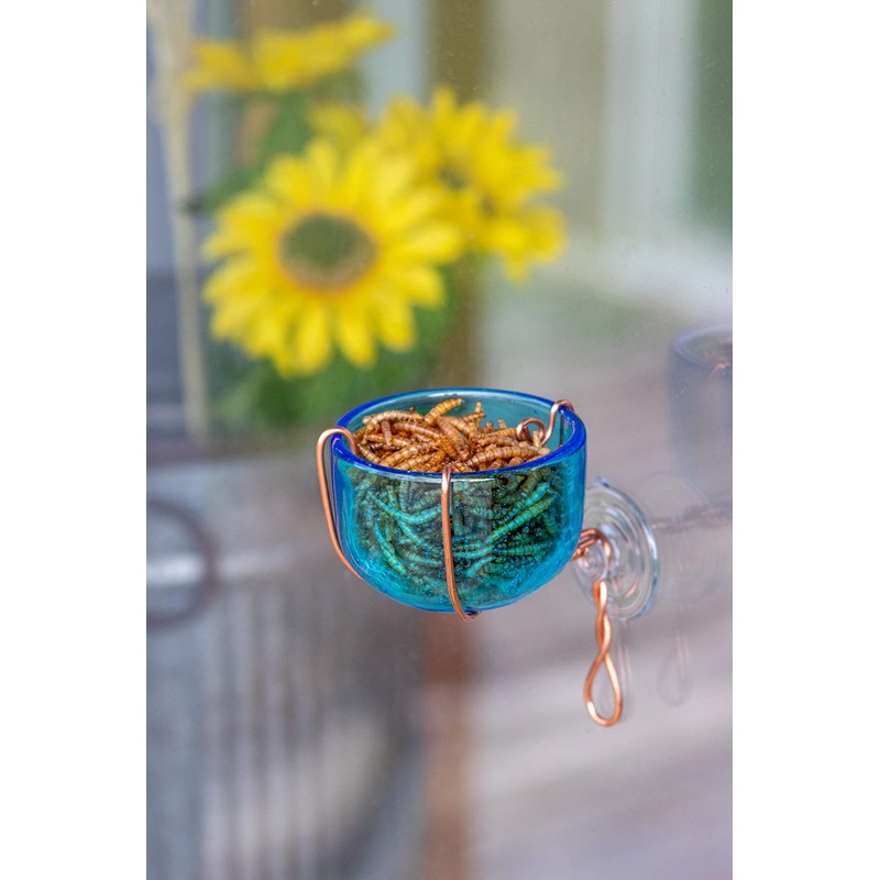 Songbird Essentials SEHHBBWF Copper Bluebird Mealworm Window Feeder (Set of