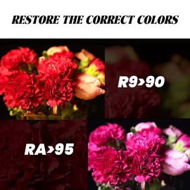 DJXFLI LED 200W COB Stage Lights with Barn Doors 2in1 Warm White & White COB Par Lights, DMX/Master-Slave DJ Lights Spotlight Fresnel Lights 3500~7500K Par Lights for Church Concert Wedding