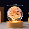 Preserved Red Daisy Crystal Ball Night Light,3D Crystal Ball with