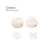 Coreana Cellenique Anti-Sebum AC Control Ampoule / 코리아나 세레니끄 안티세범
