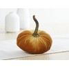 Small velvet pumpkins set of 4, elegant gift set for