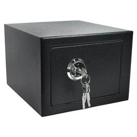 Luwint Small Steel Safe Box with Key Lock, 0.3 Cu Ft Home Security Safe for Wall Mount, Heavy Duty Metal Lock Box for Cash Jewelry Passport