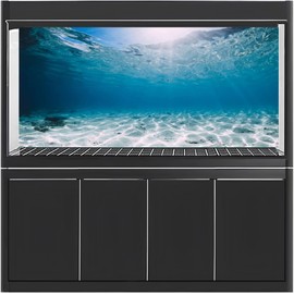 MIRRORANG 120x46cm Durable Vinyl Undersea Ocean Floor Aquarium Background Tropical Tank Background