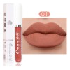 Set 10 Labiales Líquidos Mate Cmaadu Larga Duración 01