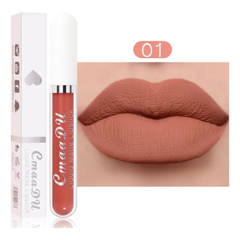 Set 10 Labiales Líquidos Mate Cmaadu Larga Duración 01