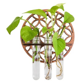 Wall Plant Propagation Station With 3 Test Tube - Transparent Terrarium, Wall Mounted for Home Decoration