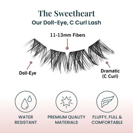 EASITENSION Pre Mapped Lash Clusters 160 Psc 20 sets per pack Lash Clusters DIY Eyelash Extension Doll-Eyed Lash Clusters Pre Maped Cat Eye Spiky Cluster Eyelashes