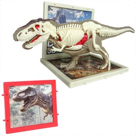 Dinosaur Skeleton & Organ Assembly Kit for Kids STEM Educational Science Toy, Dinosaur Anatomy Model (T-rex)