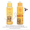 Burts Bee Hypoallergenic Shampoo, 16-Ounce
