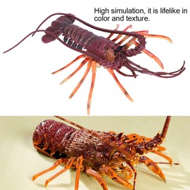Plastic Lobster Decor, and Odorless with Exquisite Craftsmanship Safe Smooth and Soft Plastic Lobster, Lifelike in Color and Texture for Kids Toy Home (29cm)