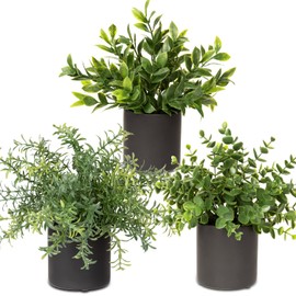 3 Pack Small Fake Plants for Shelf Decor Accents with Ceramic Pot Artificial Potted Plants for Rustic Farmhouse Decor Faux Plants Indoor Fake Potted Plants Artificial for Home Office Bookshelf Decor