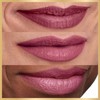 L’Oréal Paris Age Perfect Satin Lipstick with Precious Oils, 210